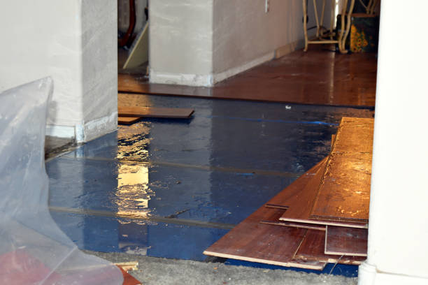 Professional Burst Pipe Cleanup technician working in Amboy, WA